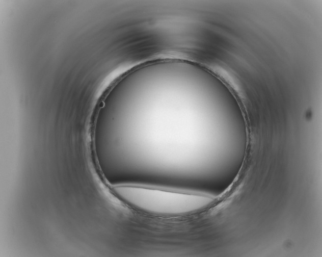 X0000092051133200709121020