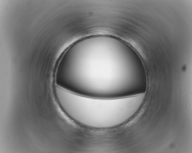 X0000092051134200709121020