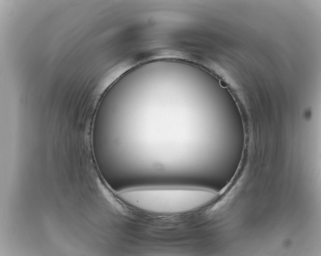 X0000092051137200709121020