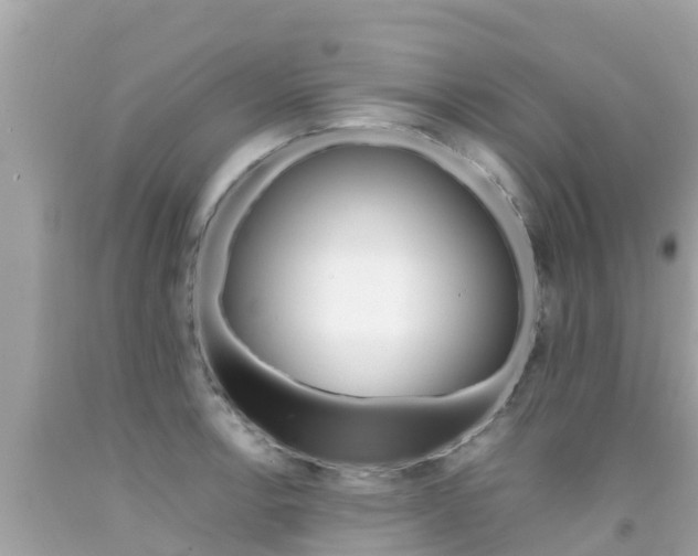 X0000092051138200709121020