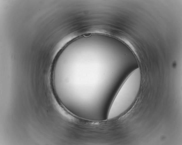 X0000092051139200709121020