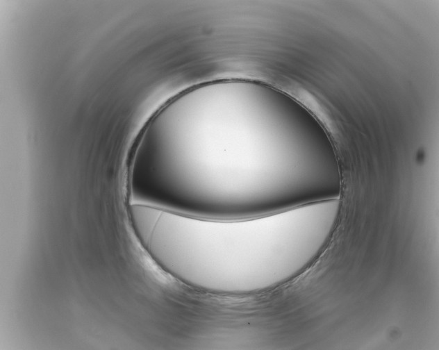 X0000092051140200709121020