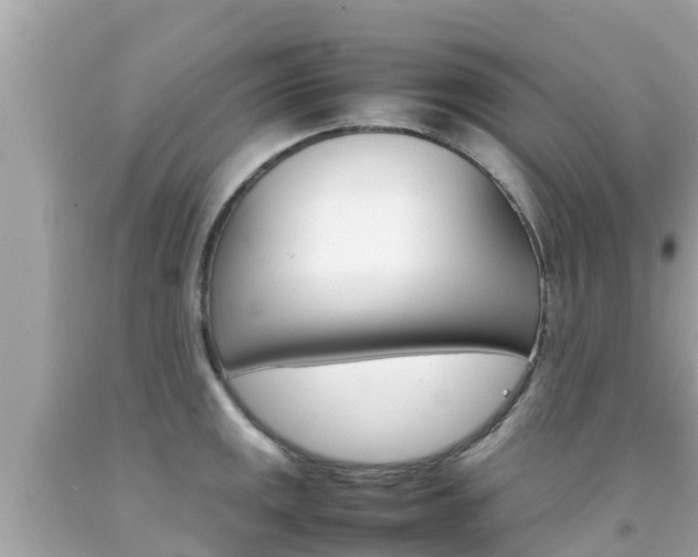 X0000092051141200709121020