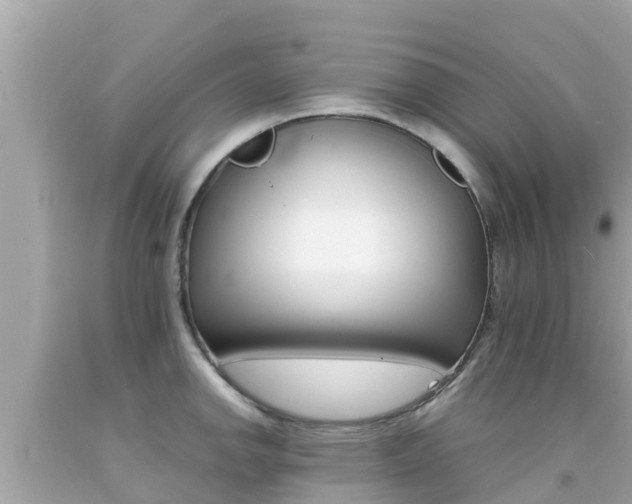 X0000092051142200709121020