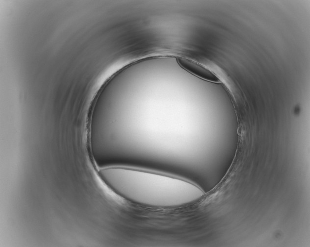 X0000092051143200709121020