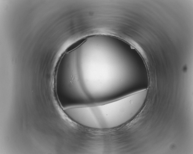 X0000092051144200709121020