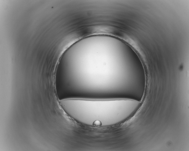 X0000092051145200709121020