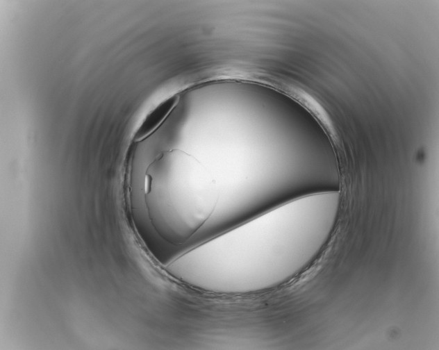 X0000092051146200709121020