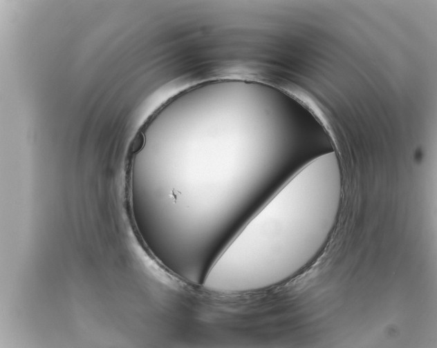 X0000092051147200709121020