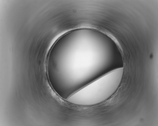 X0000092051148200709121020