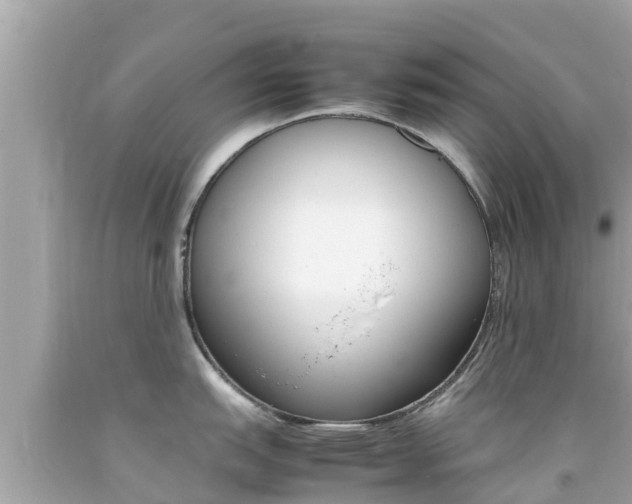X0000092051151200709121020