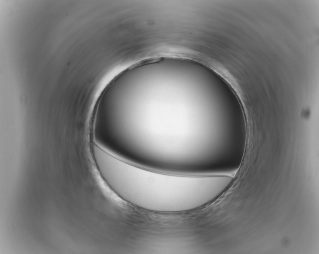 X0000092051152200709121020