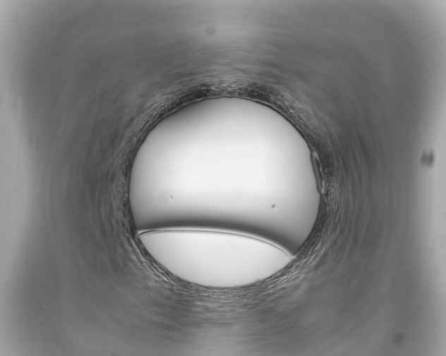 X0000092051153200709121019