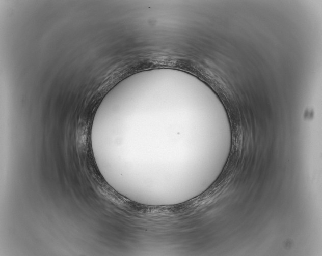 X0000092051154200709121019