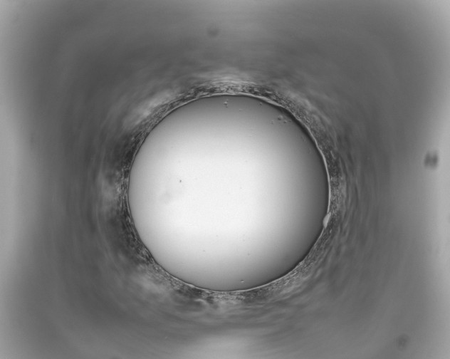 X0000092051157200709121019