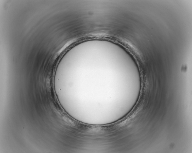 X0000092051162200709121019