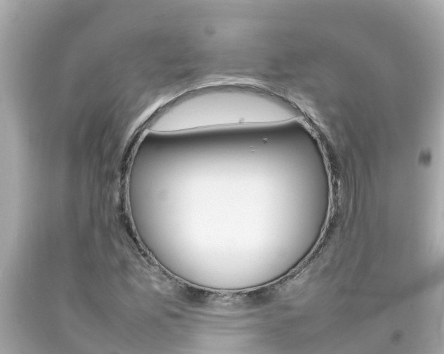 X0000092051165200709121019