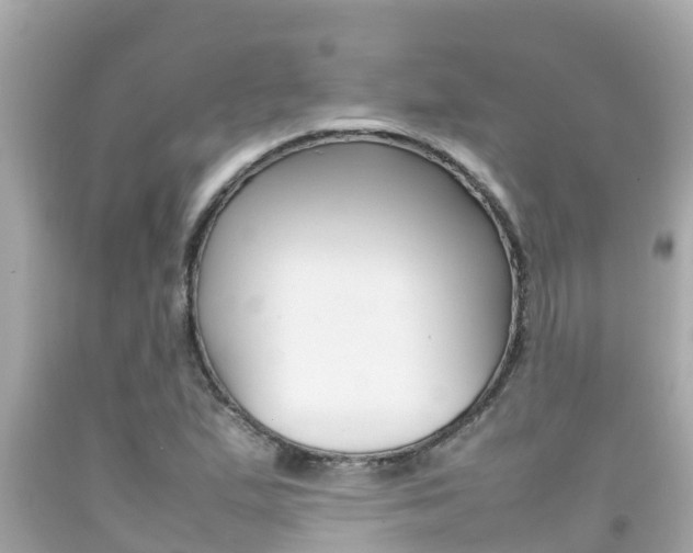 X0000092051167200709121019