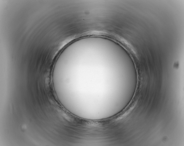 X0000092051170200709121019