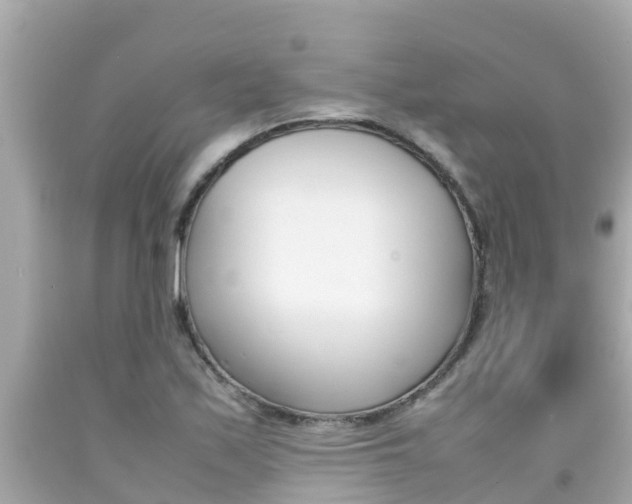 X0000092051171200709121019