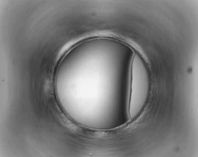 X0000092051176200709121019