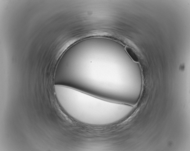 X0000092051177200709121019