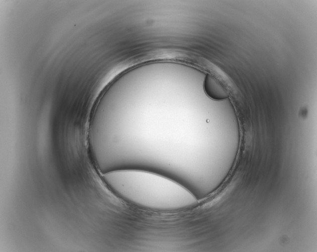 X0000092051178200709121019