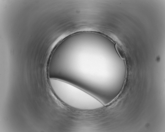 X0000092051181200709121019