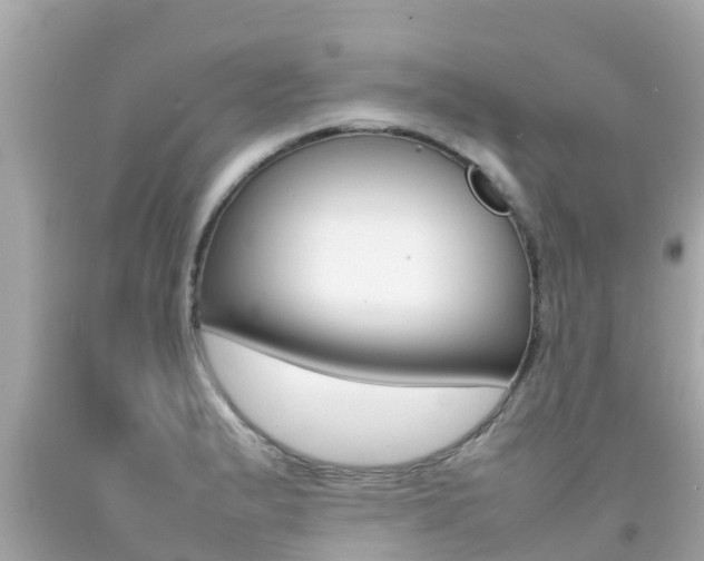 X0000092051183200709121019