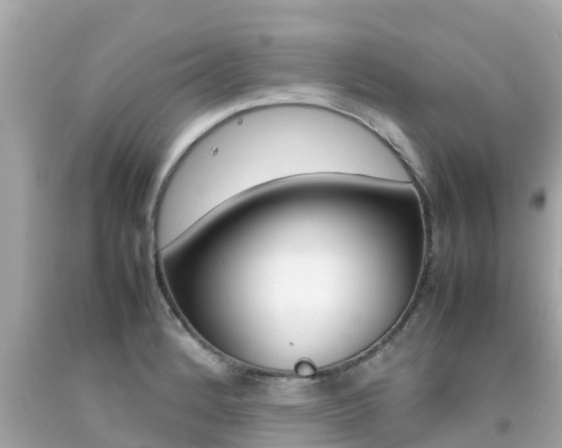 X0000092051184200709121019