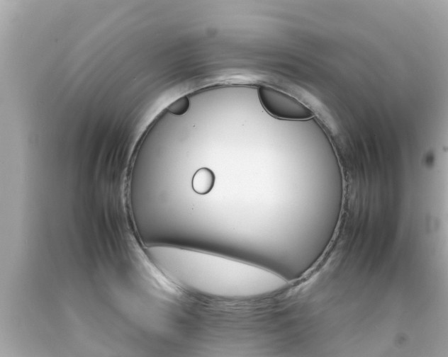 X0000092051186200709121019