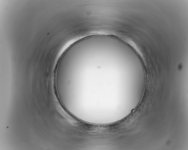 X0000092051187200709121019