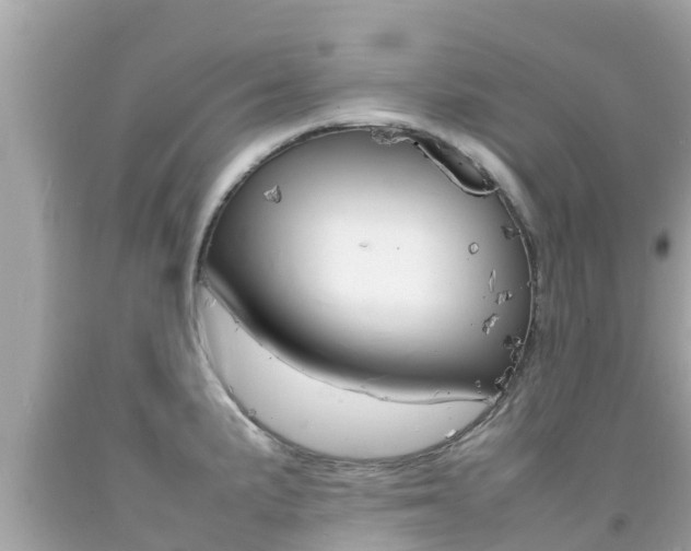 X0000092051191200709121019