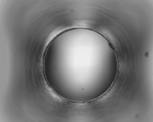 X0000092051192200709121019