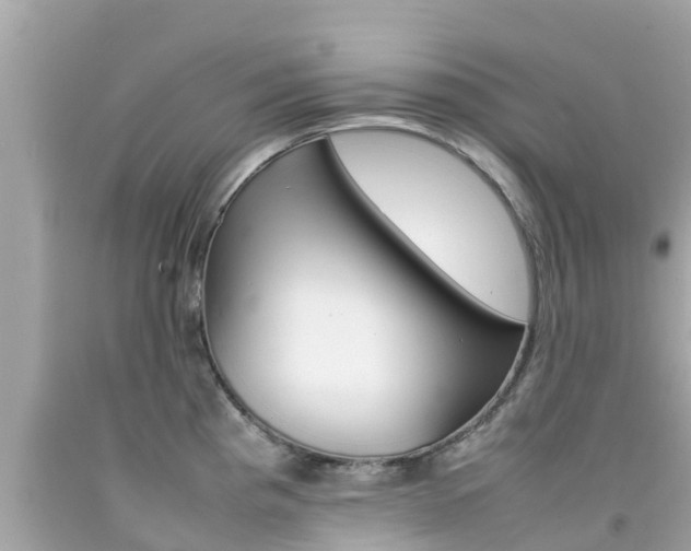 X0000092051193200709121019
