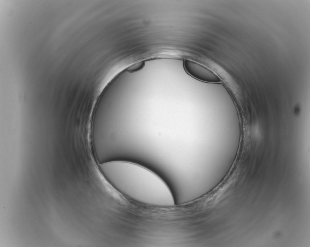 X0000092051194200709121019