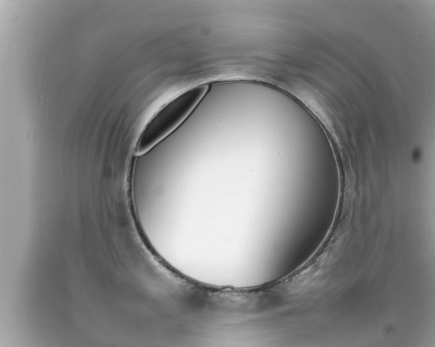 X0000092051197200709121019