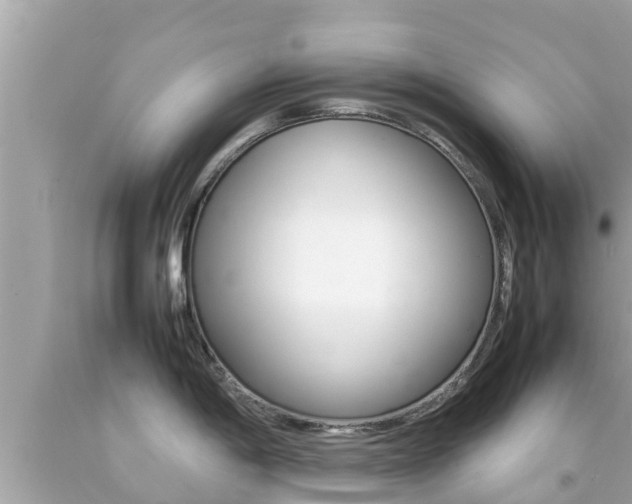 X0000092051198200709121019