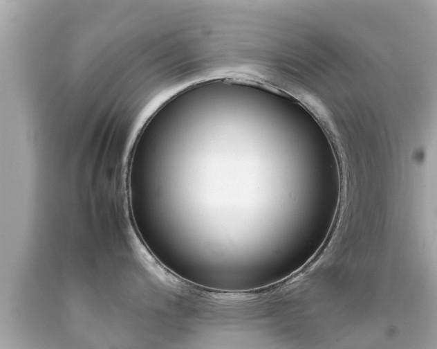 X0000092051200200709121019