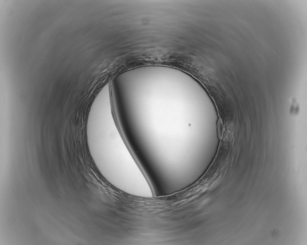 X0000092051202200709121018