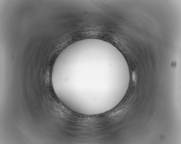 X0000092051203200709121018
