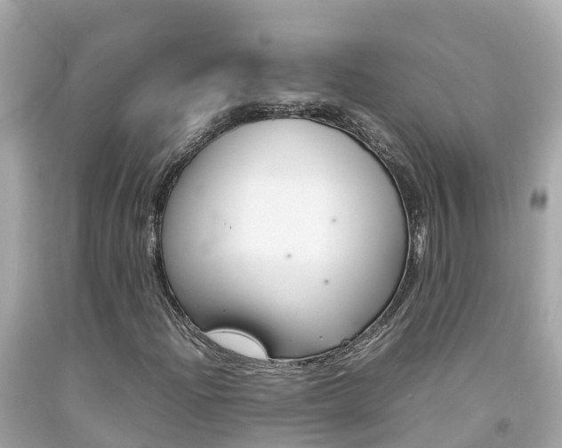 X0000092051204200709121018