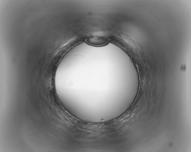 X0000092051205200709121018