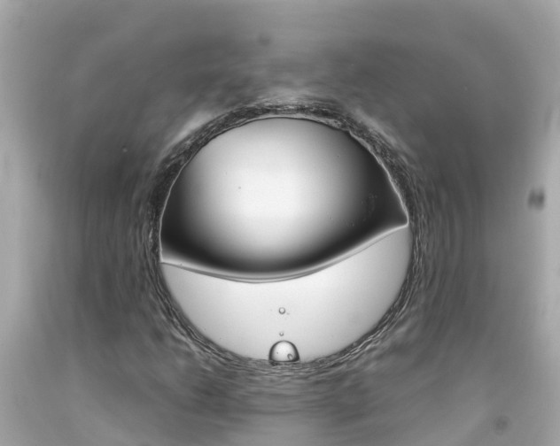 X0000092051206200709121018