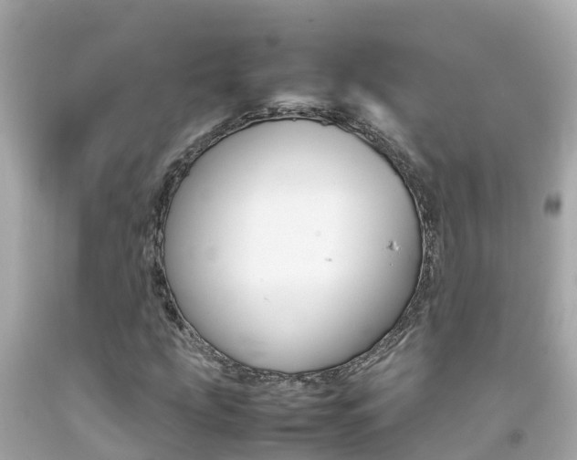 X0000092051207200709121018