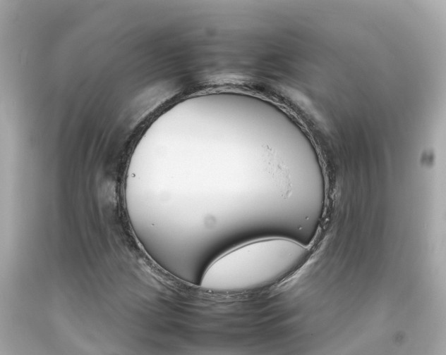 X0000092051209200709121018