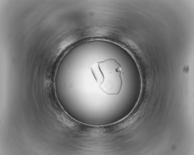 X0000092051210200709121018