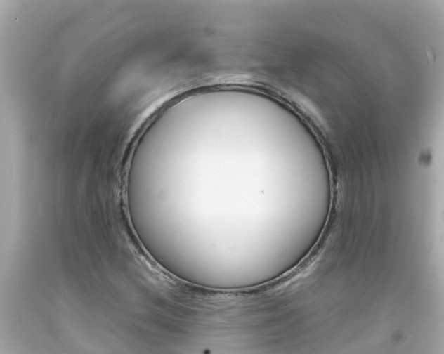 X0000092051212200709121018