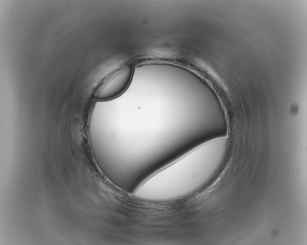 X0000092051213200709121018