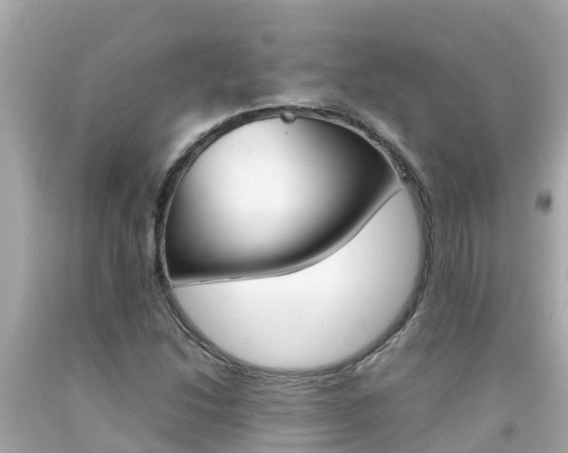 X0000092051214200709121018